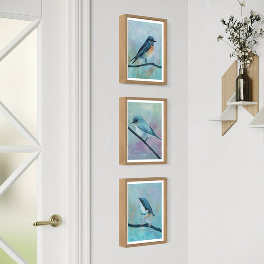 A Quiet Strength - Set of 3 Bird Art Prints - Set Two