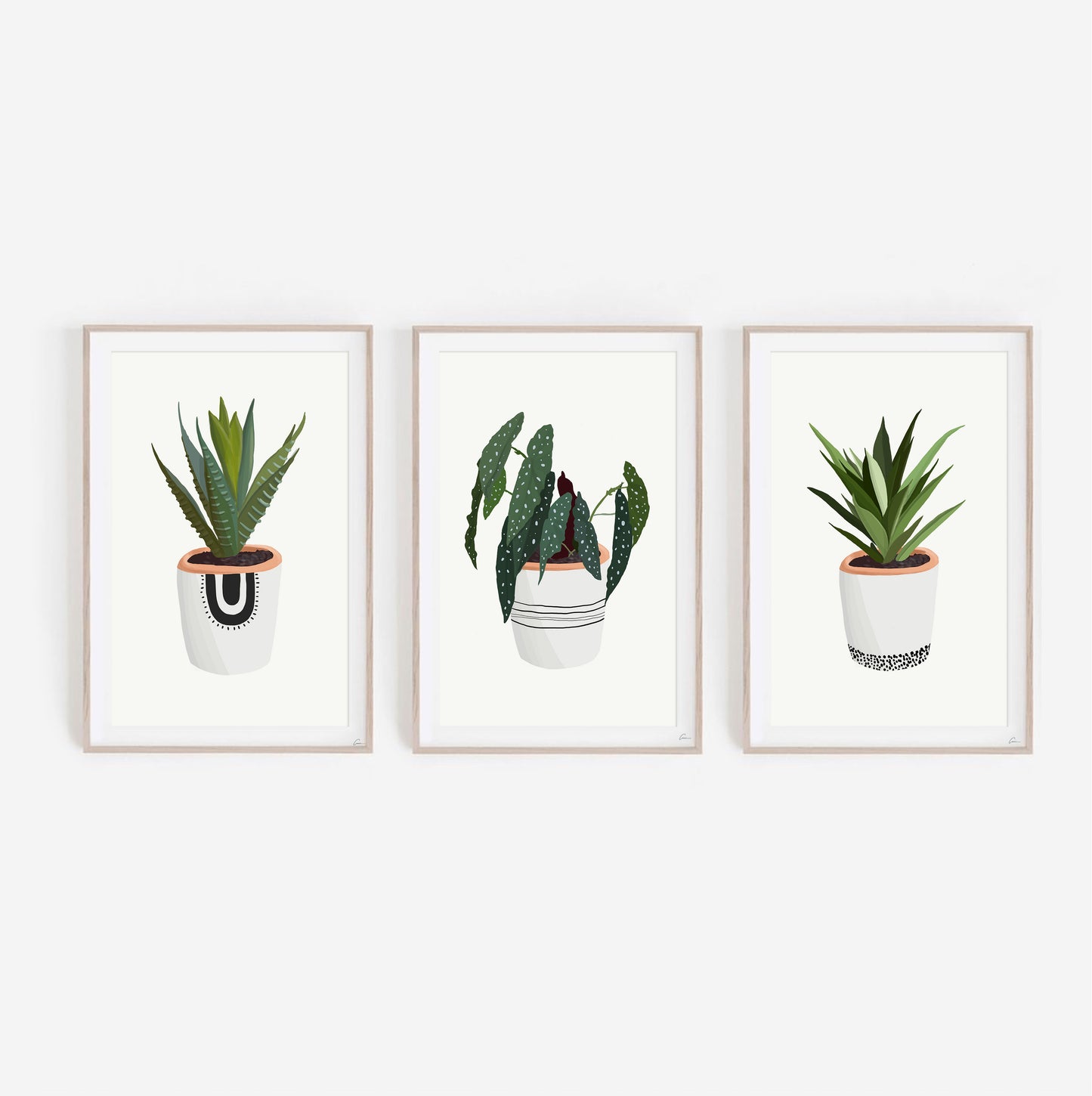 Cosy House Plants Set of Three | Art Prints