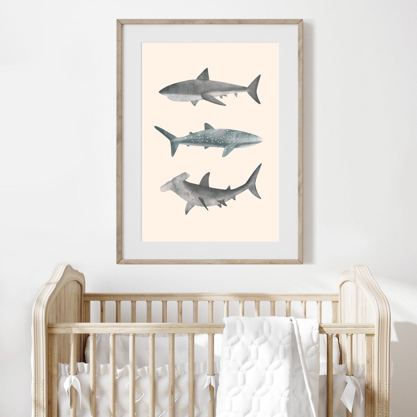 'Whales Sharks and Dolphins' | Set of 3 Wall Art Prints