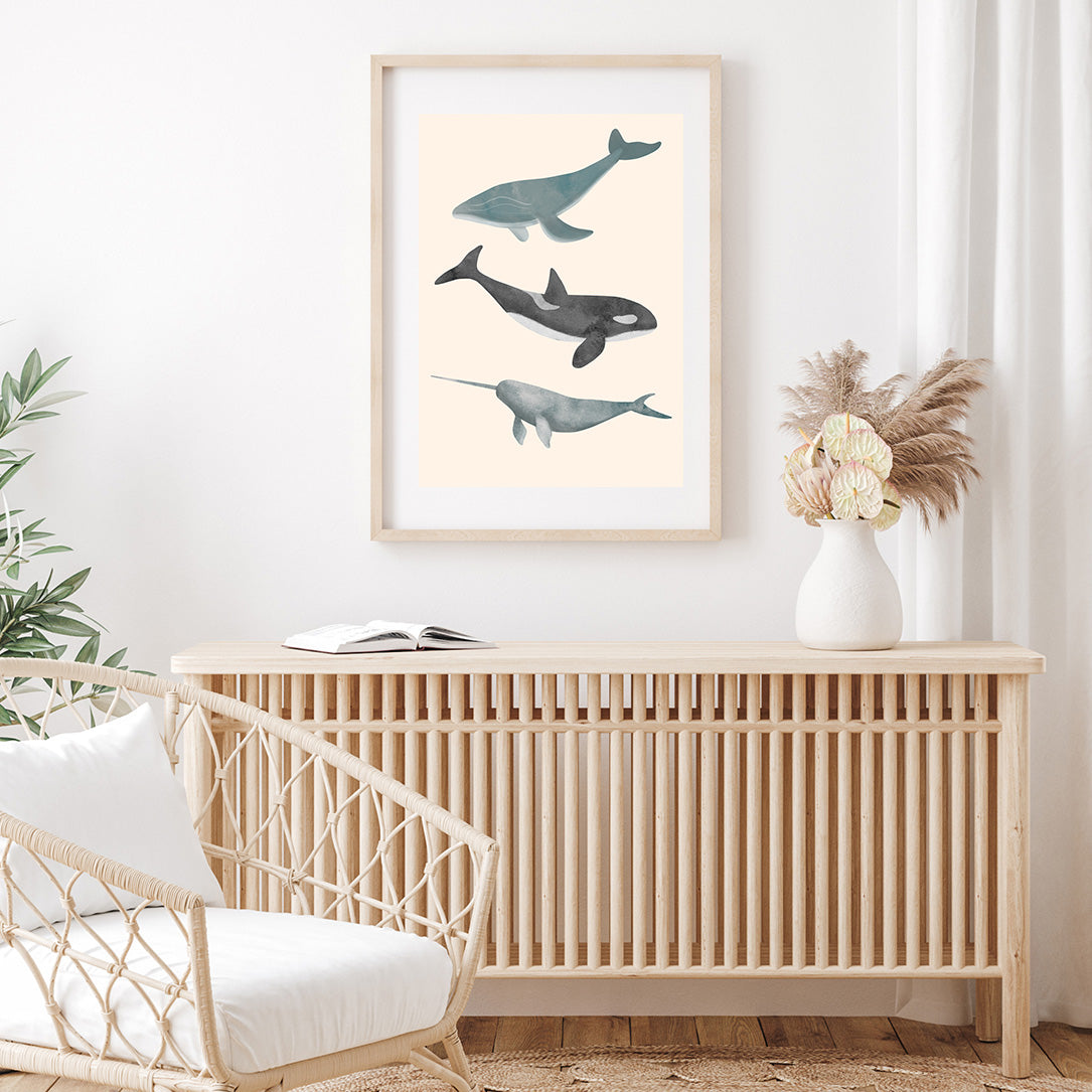 'Whales Sharks and Dolphins' | Set of 3 Wall Art Prints