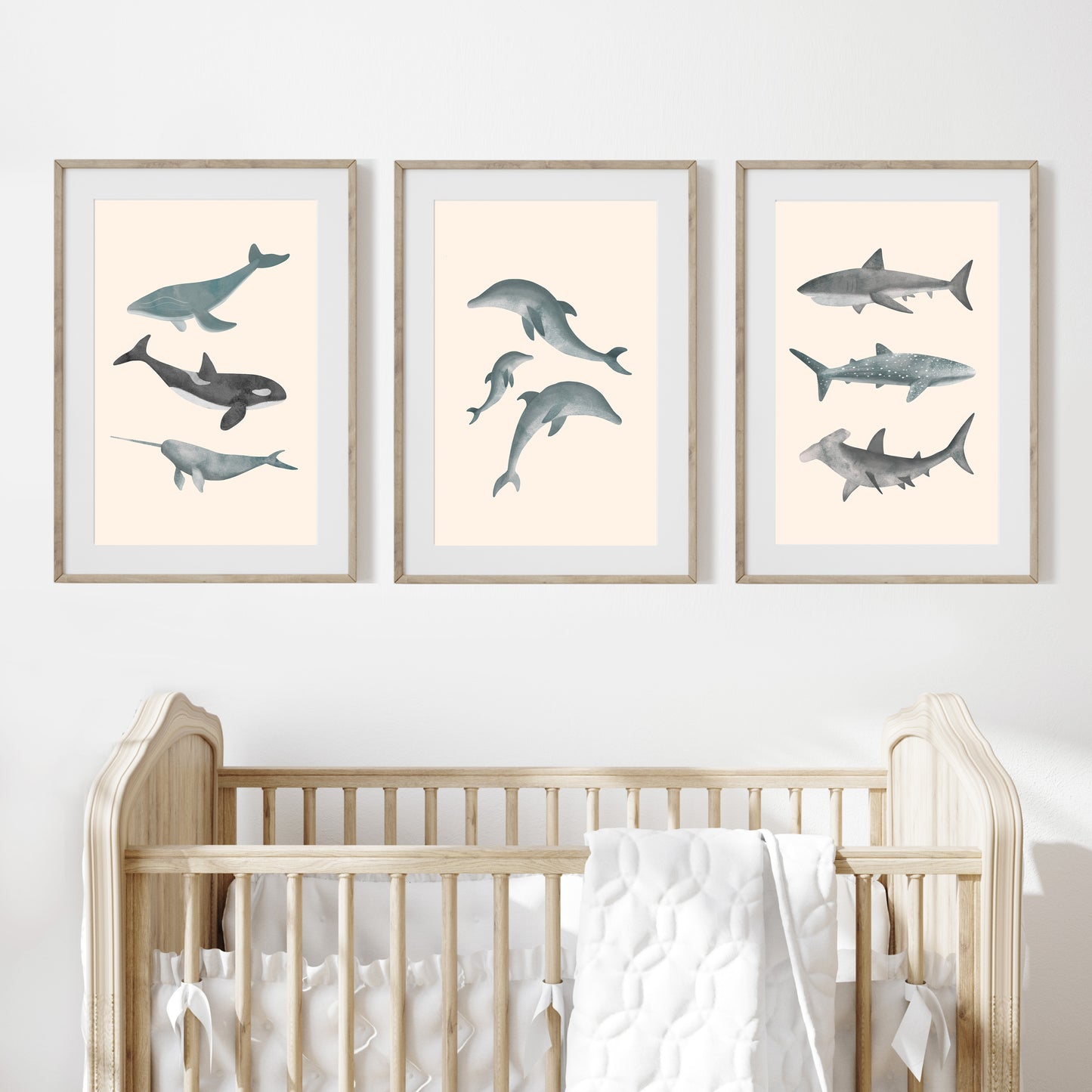 'Whales Sharks and Dolphins' | Set of 3 Wall Art Prints