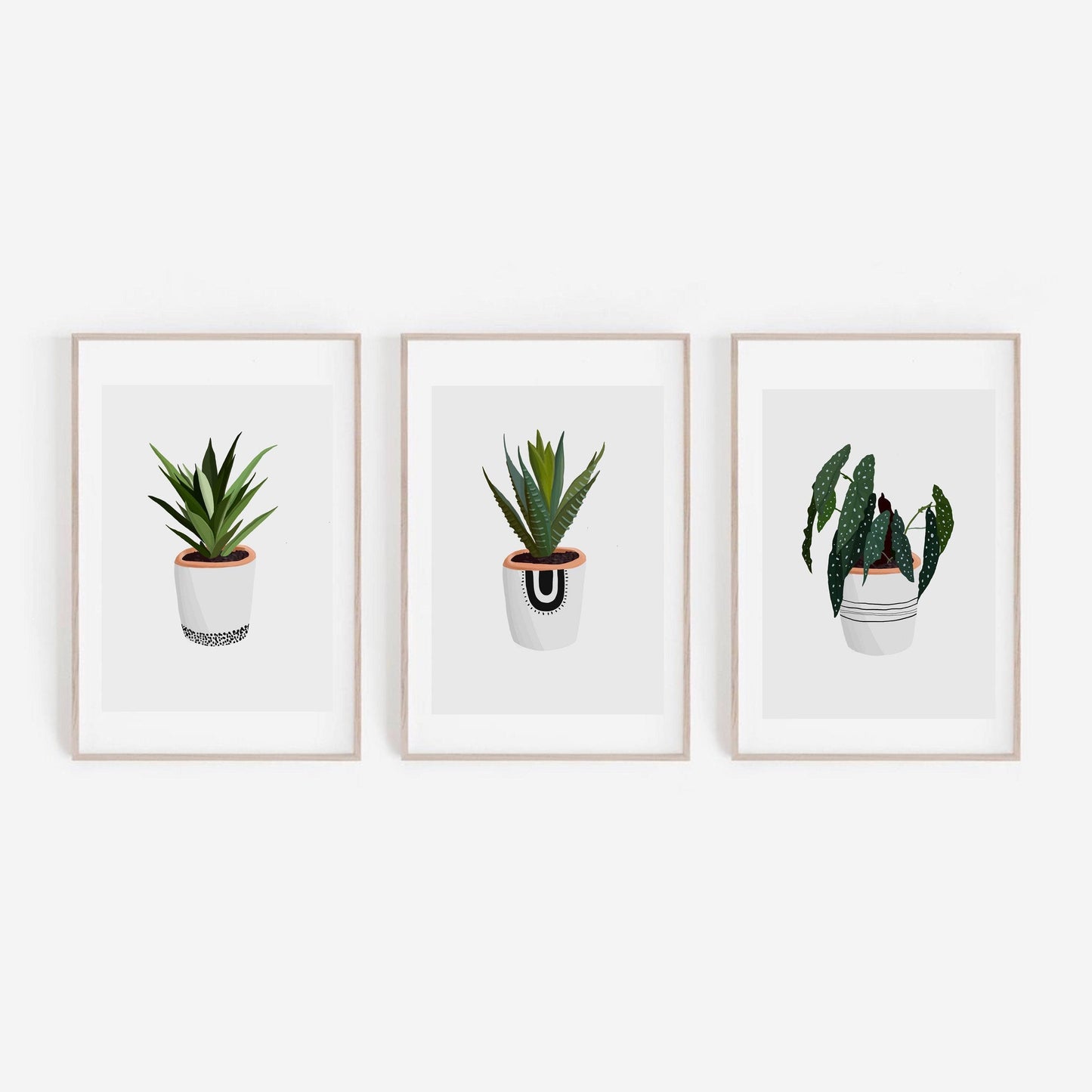 Cosy House Plant Three | Wall Art Print