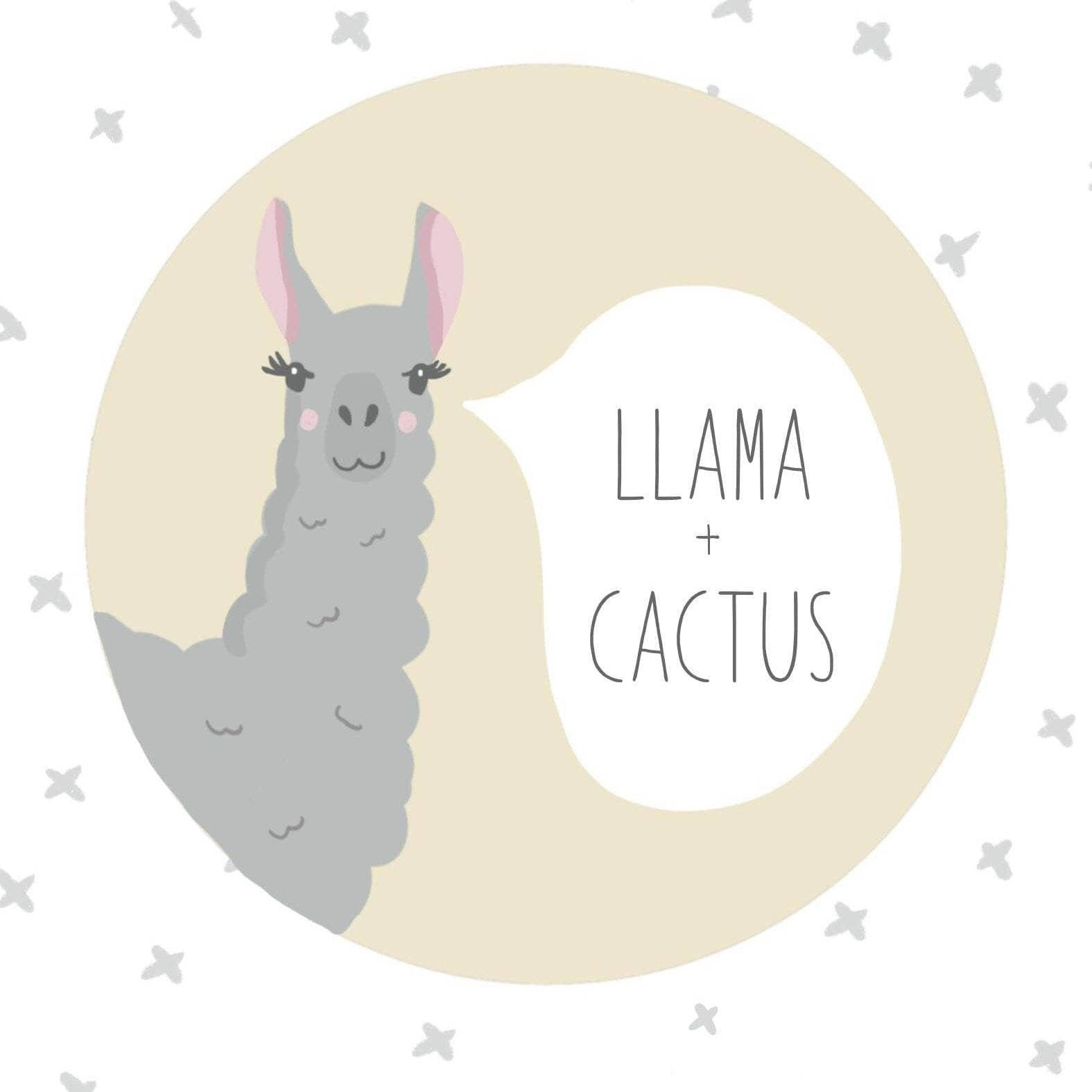 Llama & Cactus Baby Milestone Cards