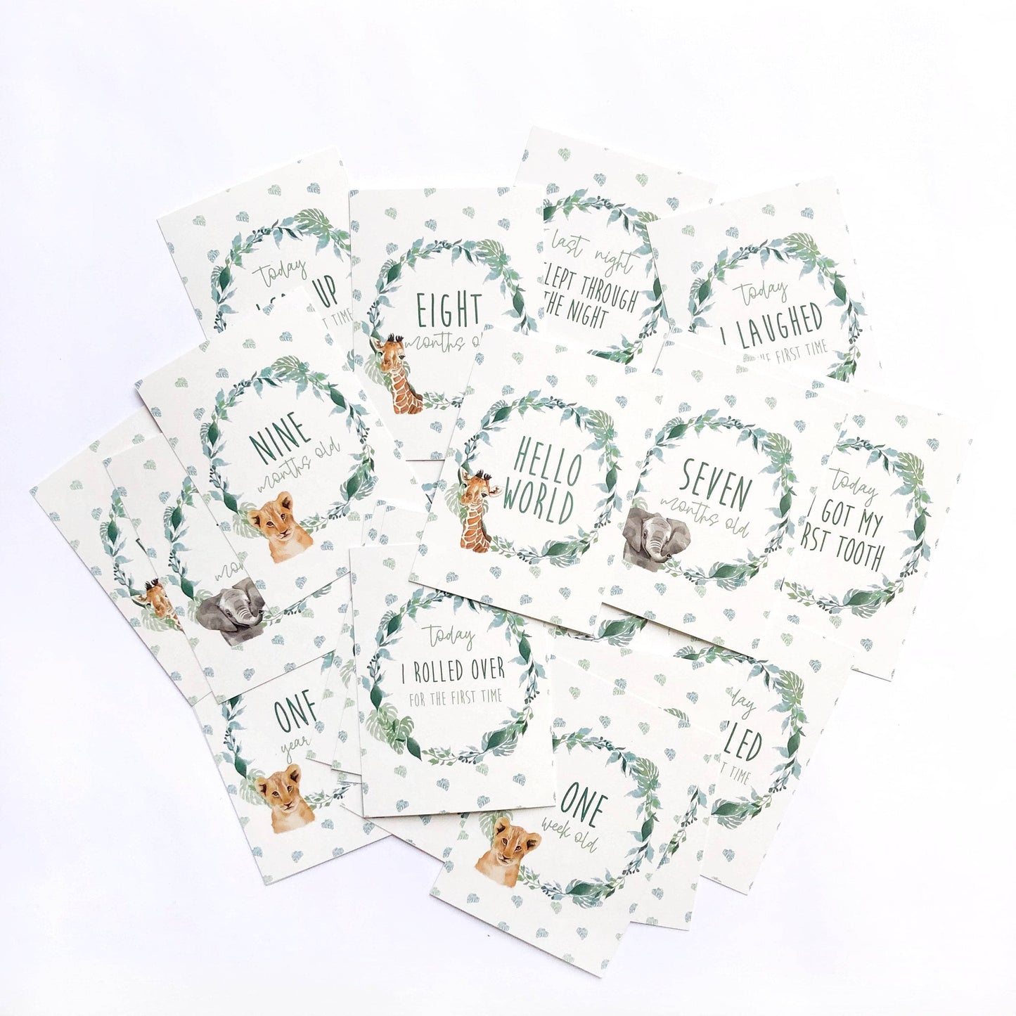 Safari Animals Baby Gift Box Bundle