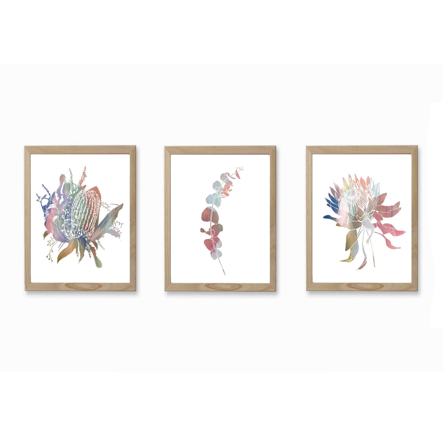 Wildflower Wall Art Print | Banksia