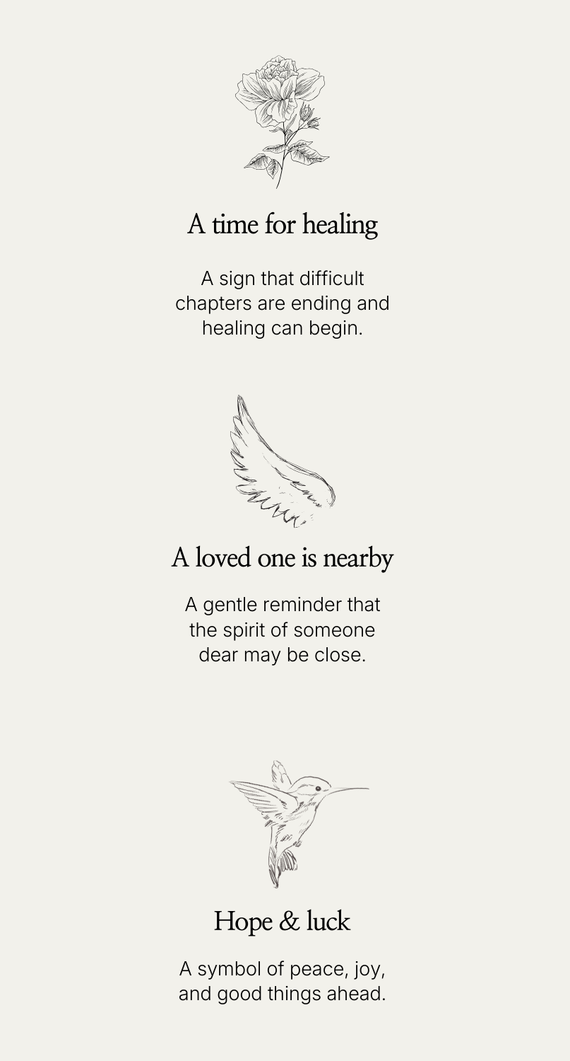 Motivational text with illustrations of a rose, angel, and hummingbird on a light gray background.