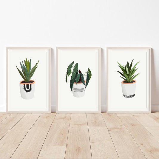 Cosy House Plants Set of Three | Art Prints