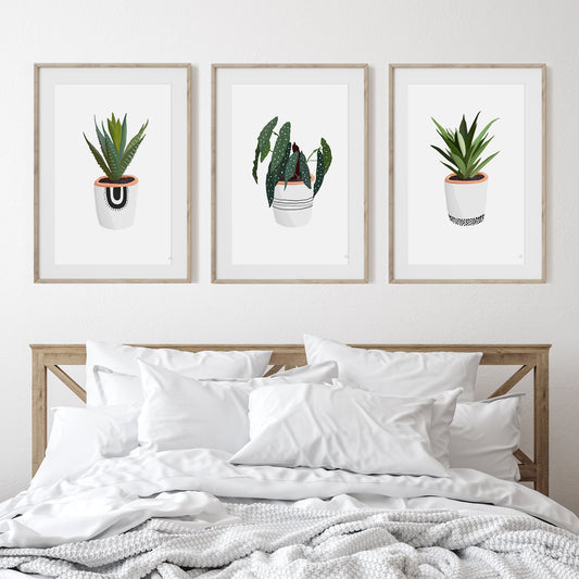 Cosy House Plants Set of Three | Art Prints