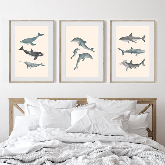 'Whales Sharks and Dolphins' | Set of 3 Wall Art Prints