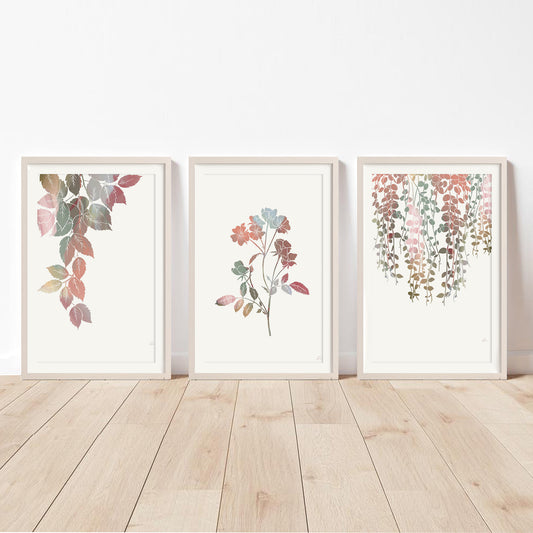 Wildflower Wall Art Print Collection Two | Set of 3