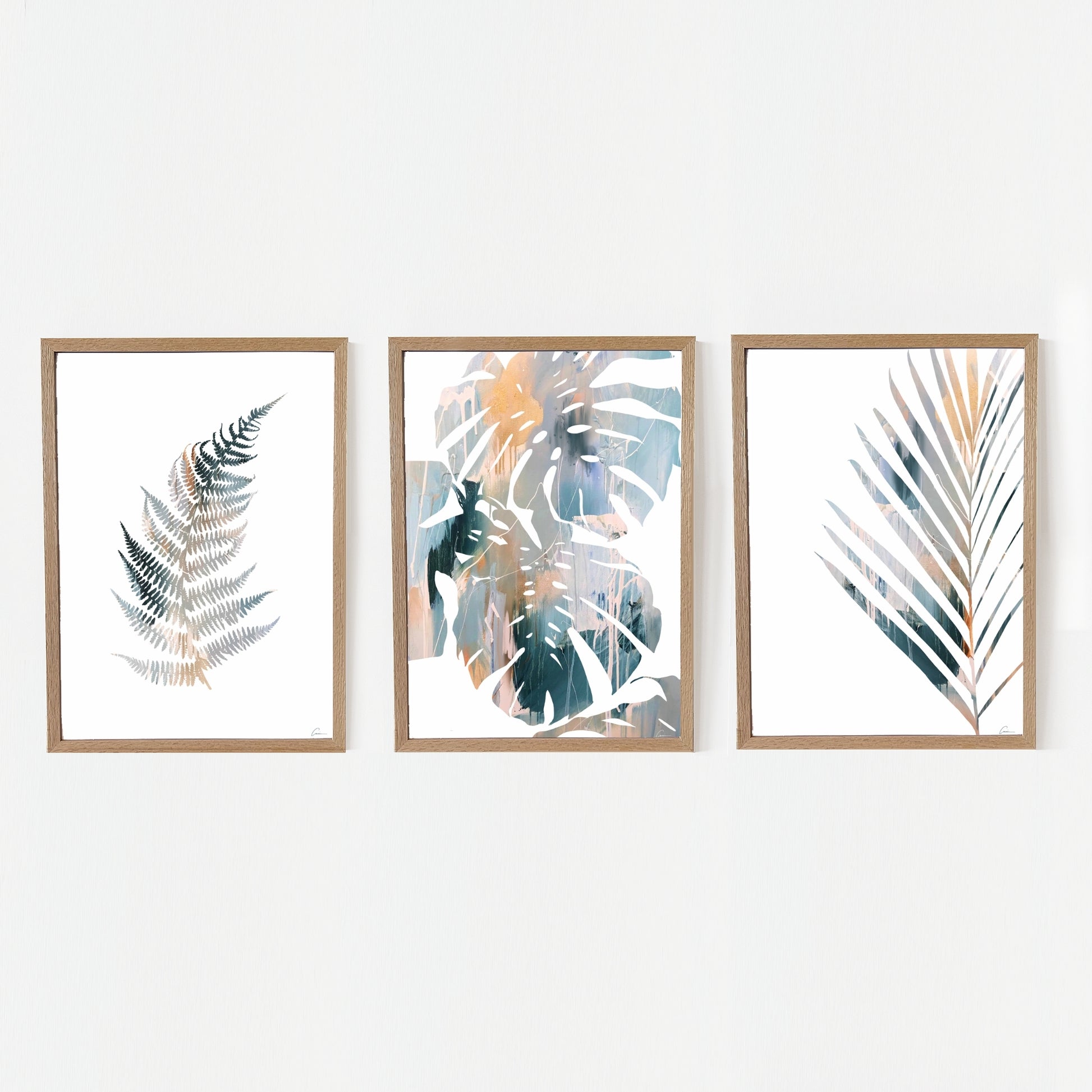 Three framed botanical prints of leaves on a white wall