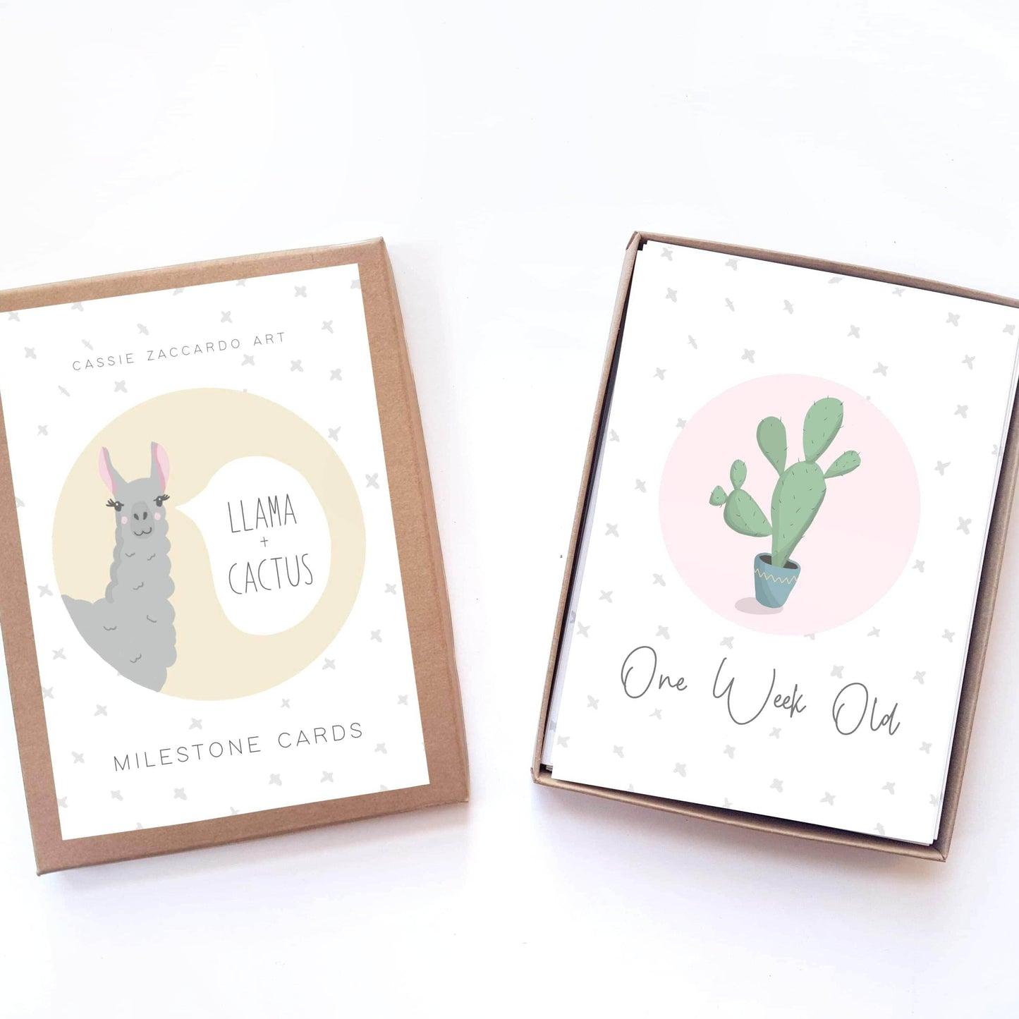 Llama & Cactus Baby Milestone Cards